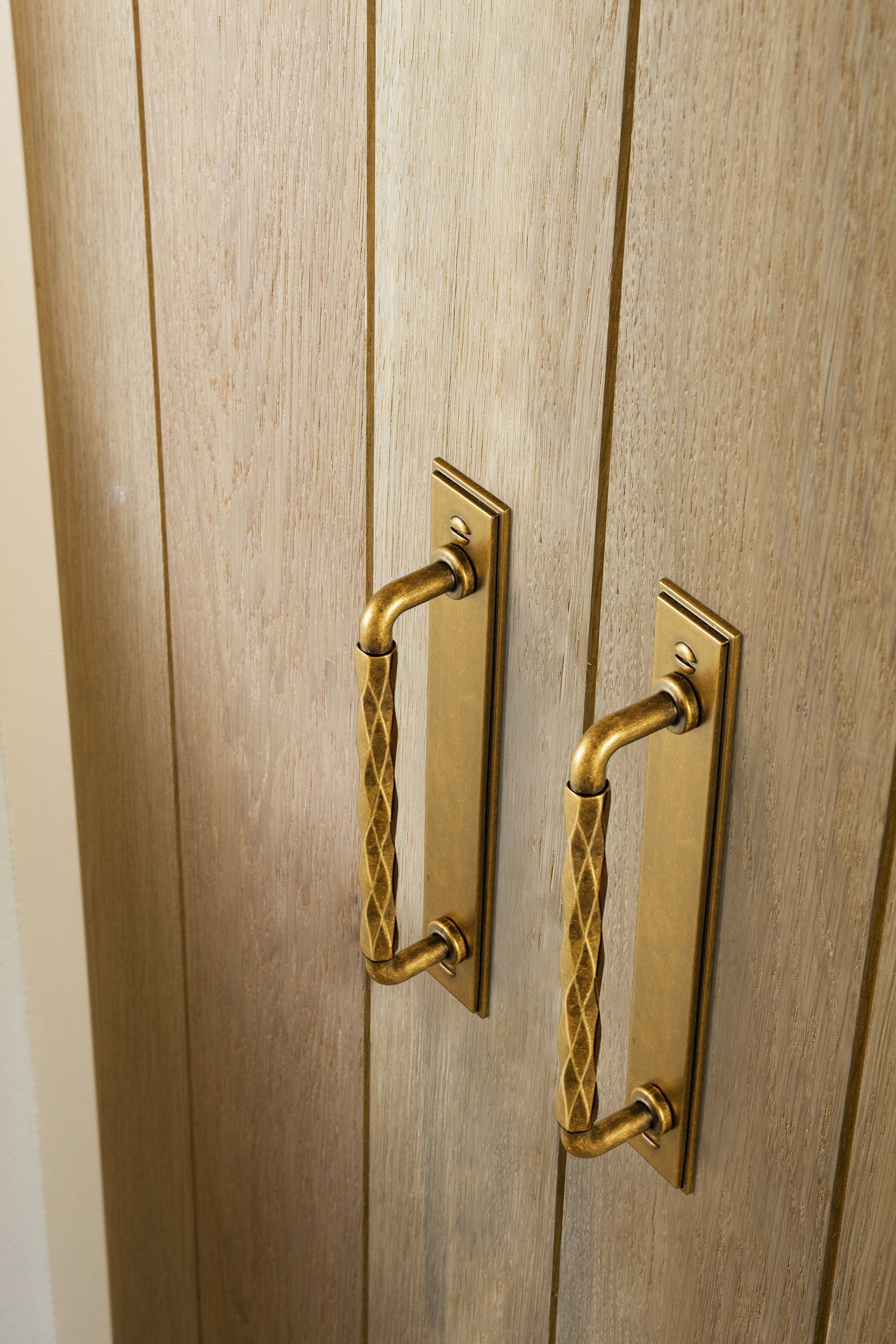 Goo-Ki 2 Pack Zinc Alloy Drawer Pulls with Back Plate Twisted Design Decorative Handles for Kitchen Cabinets