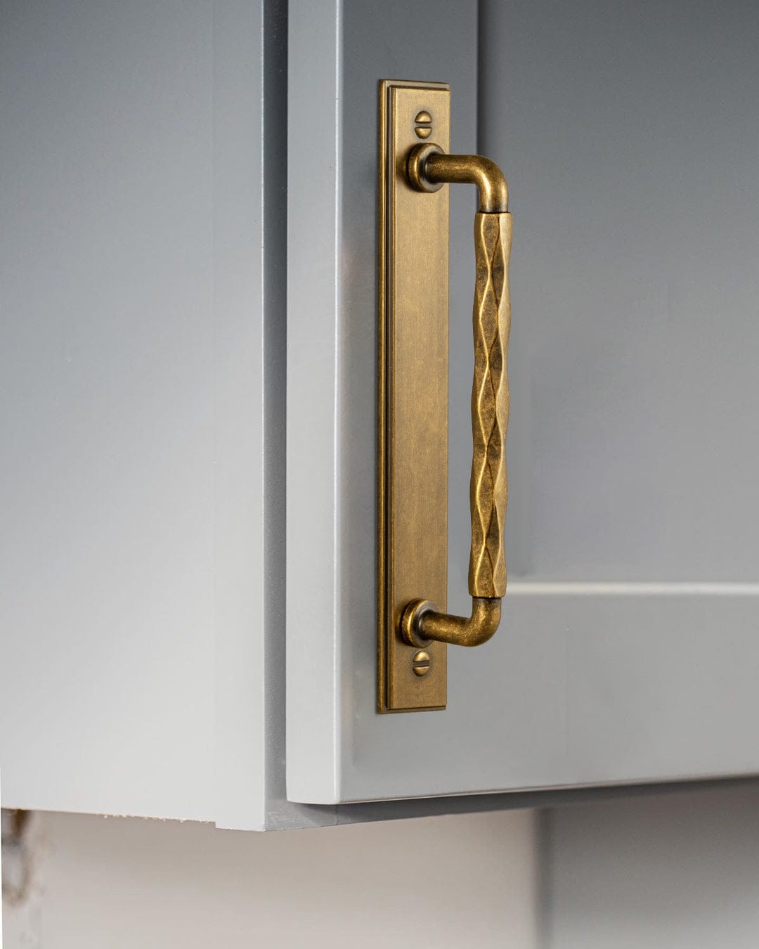 Goo-Ki 2 Pack Zinc Alloy Drawer Pulls with Back Plate Twisted Design Decorative Handles for Kitchen Cabinets