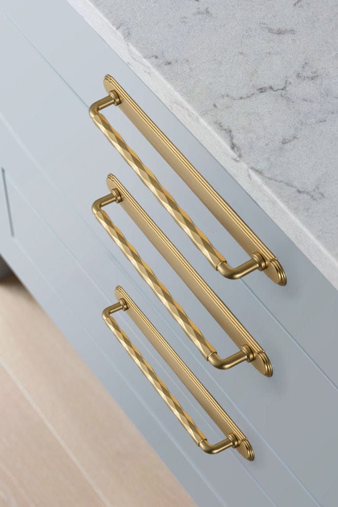 Goo-Ki 2 Pack Zinc Alloy Drawer Pulls with Back Plate Twisted Design Decorative Handles for Kitchen Cabinets