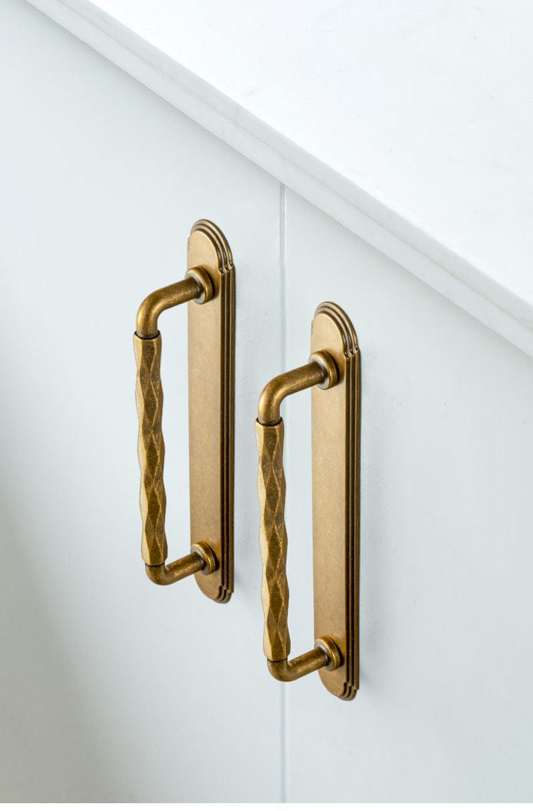 Goo-Ki 2 Pack Zinc Alloy Drawer Pulls with Back Plate Twisted Design Decorative Handles for Kitchen Cabinets