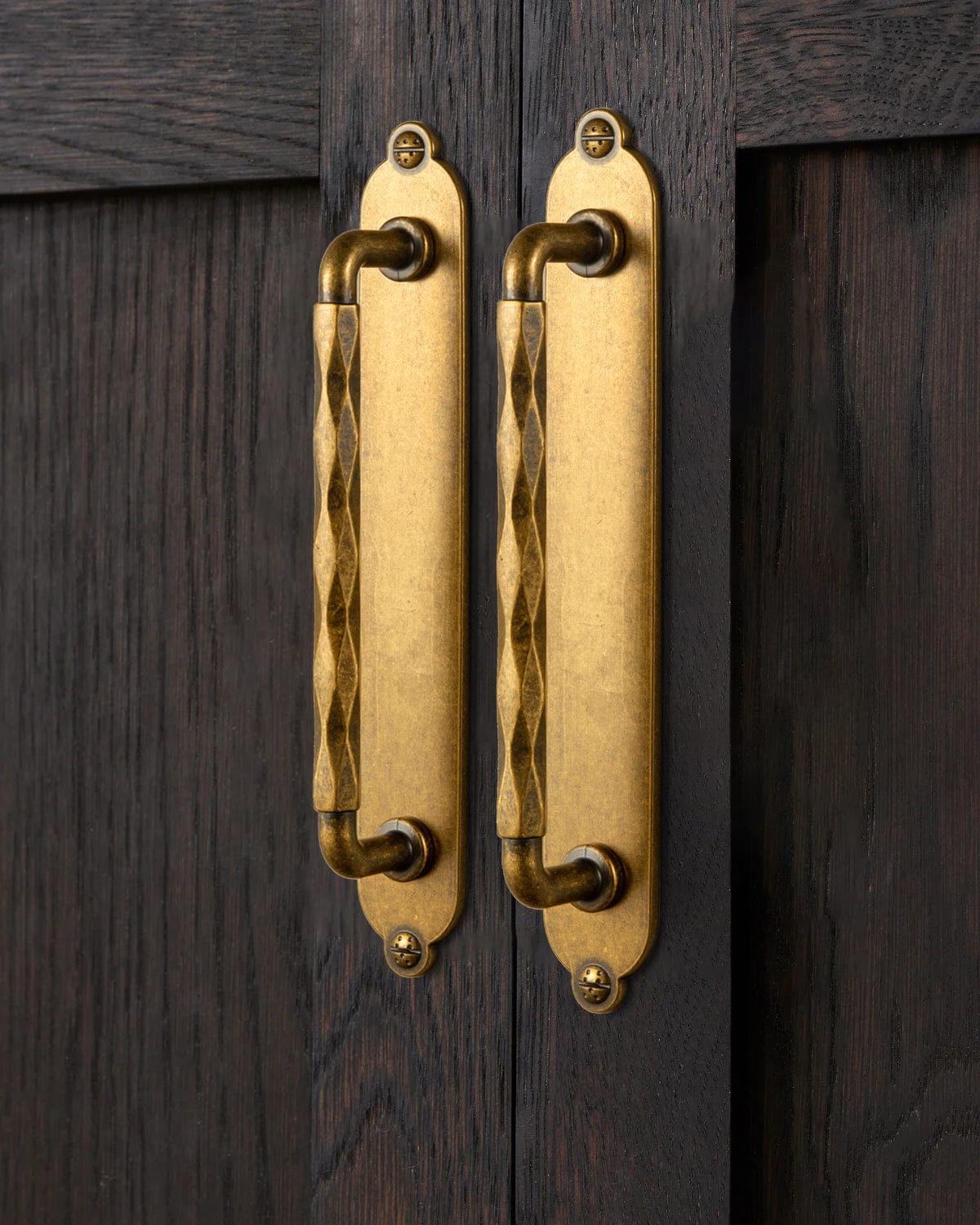 Goo-Ki 2 Pack Zinc Alloy Drawer Pulls with Back Plate Twisted Design Decorative Handles for Kitchen Cabinets