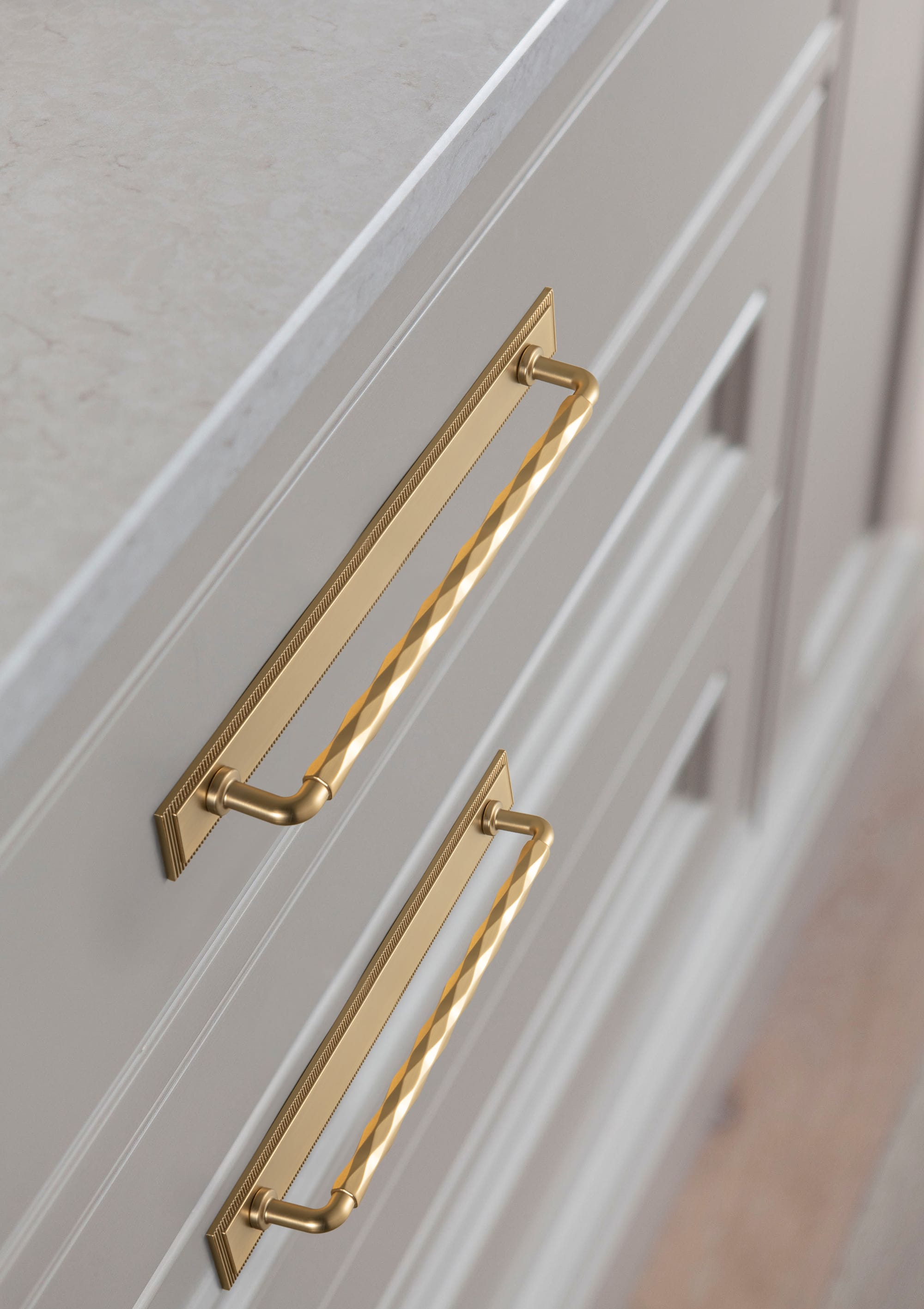 Goo-Ki 2 Pack Zinc Alloy Drawer Pulls with Back Plate Twisted Design Decorative Handles for Kitchen Cabinets