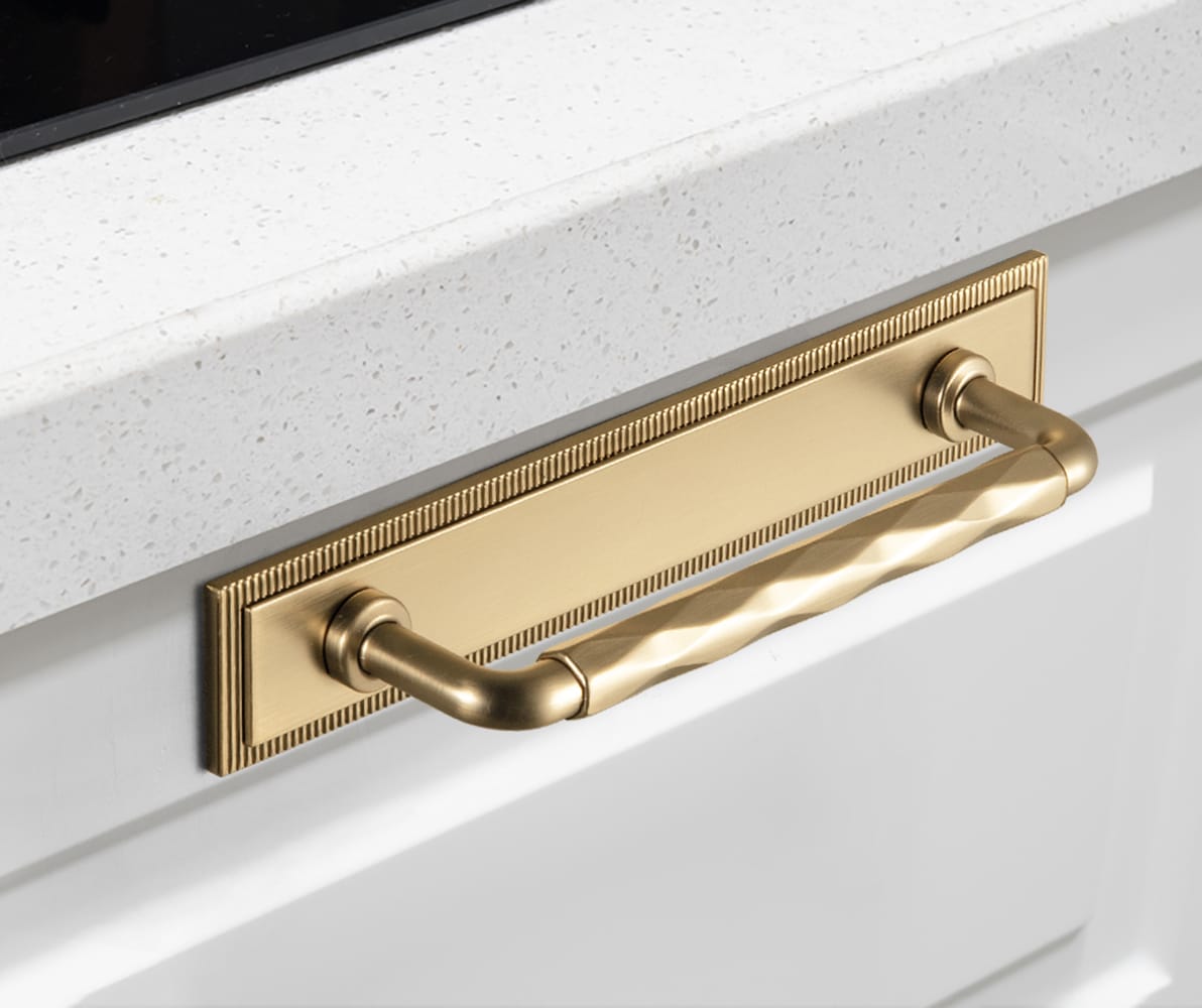 Goo-Ki 2 Pack Zinc Alloy Drawer Pulls with Back Plate Twisted Design Decorative Handles for Kitchen Cabinets