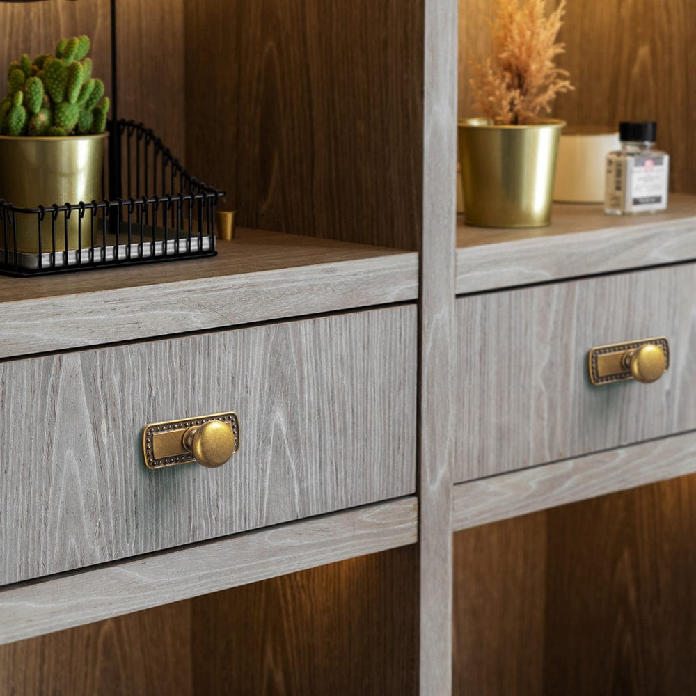 Goo-Ki 6 Pack Antique Brass Zinc Alloy Cabinet Knob with Back Plate Single Hole Center Cabinet Hardware for Bedroom Kitchen