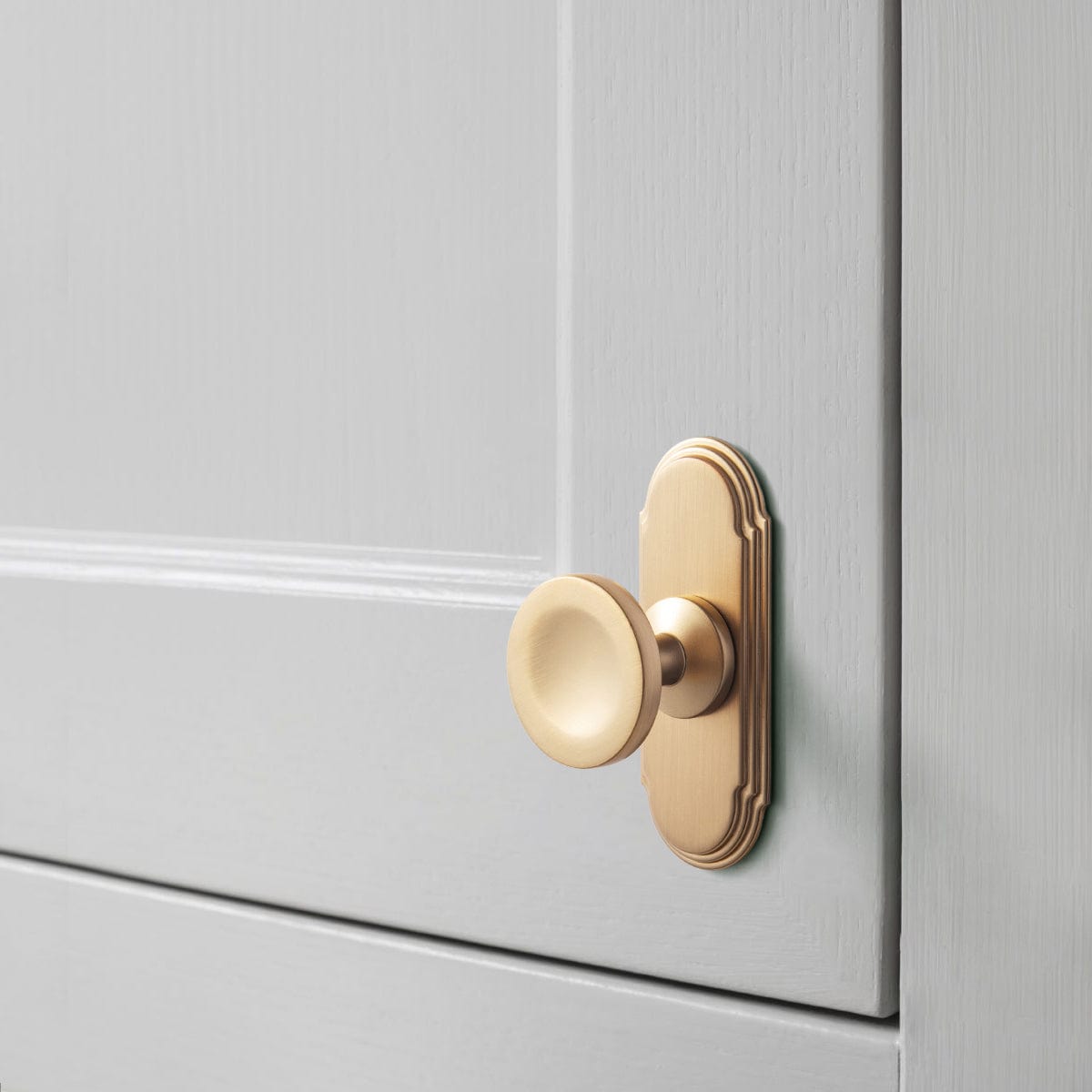 Goo-Ki 6 Pack Assorted Shaped Zinc Alloy Cabinet Hardware - Knobs and Back Plates for Stylish Furniture