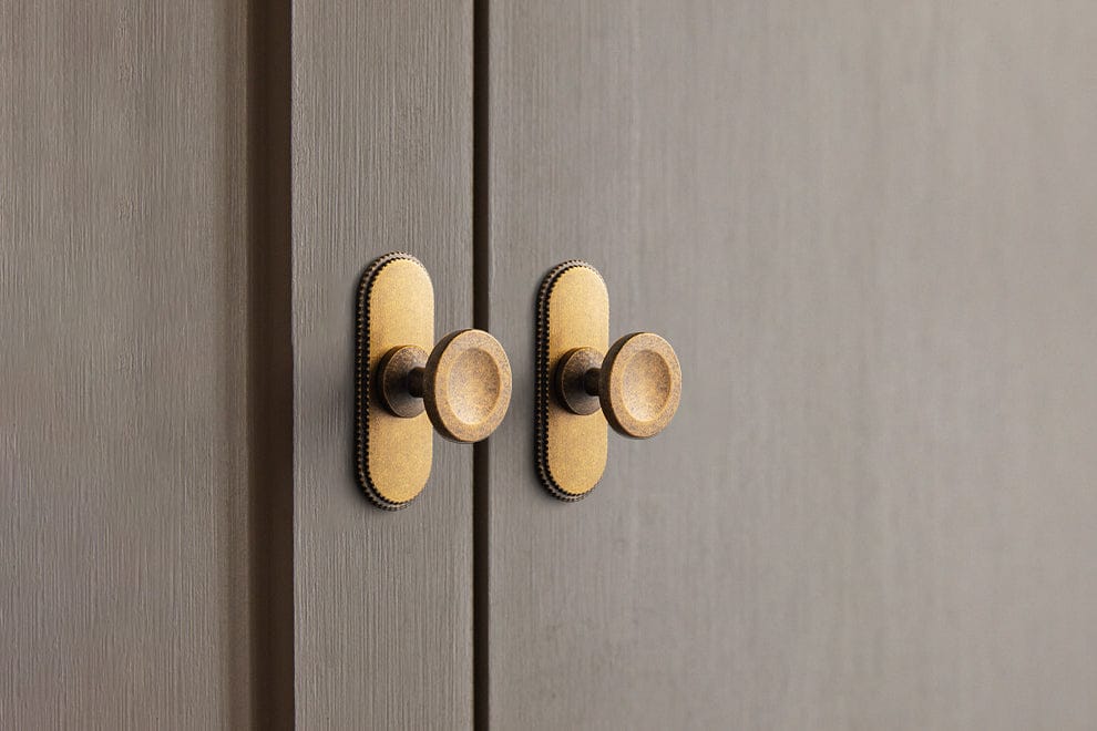 Goo-Ki 6 Pack Assorted Shaped Zinc Alloy Cabinet Hardware - Knobs and Back Plates for Stylish Furniture