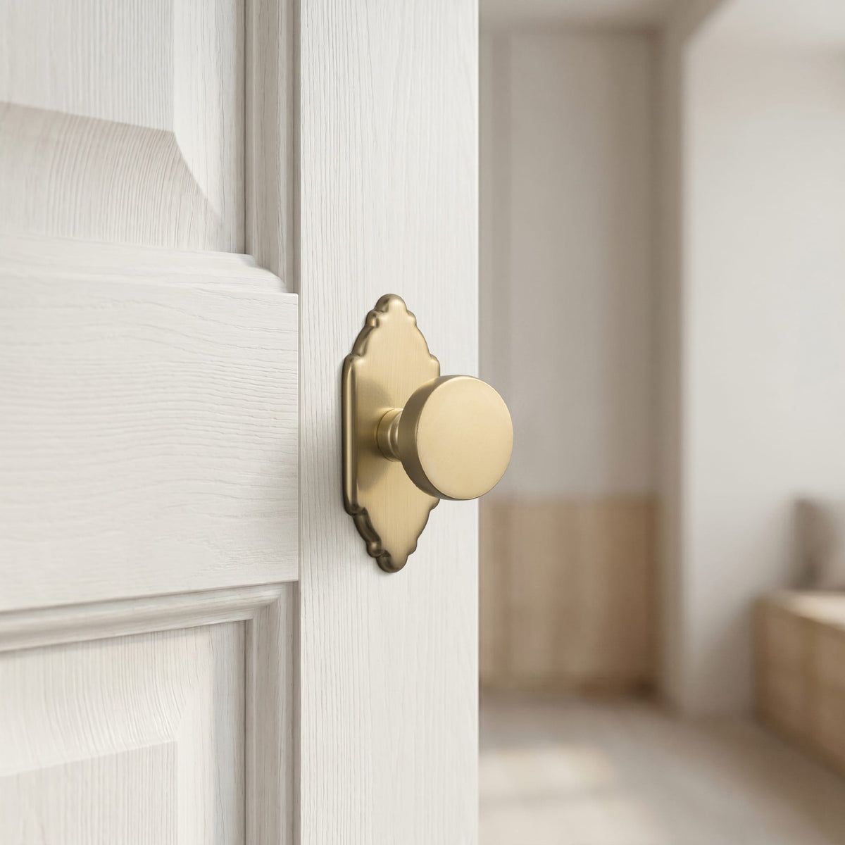 Goo-Ki 6 Pack Vintage Brass Zinc Alloy Cabinet Knob with Back Plate Single Hole Center Kitchen Hardware