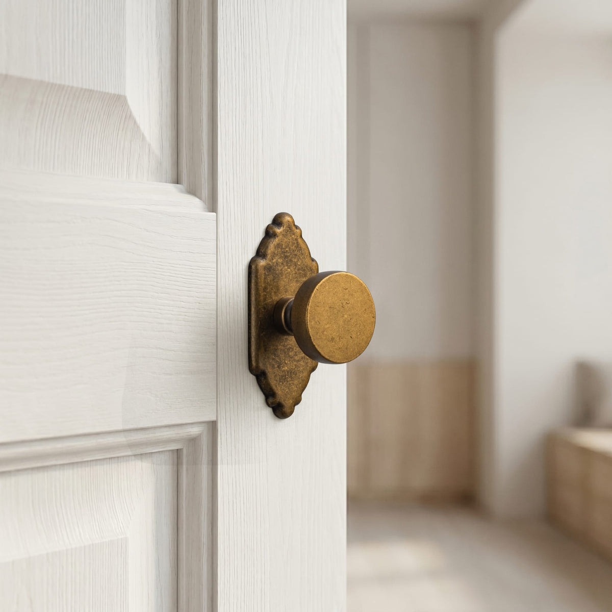 Goo-Ki 6 Pack Vintage Brass Zinc Alloy Cabinet Knob with Back Plate Single Hole Center Kitchen Hardware