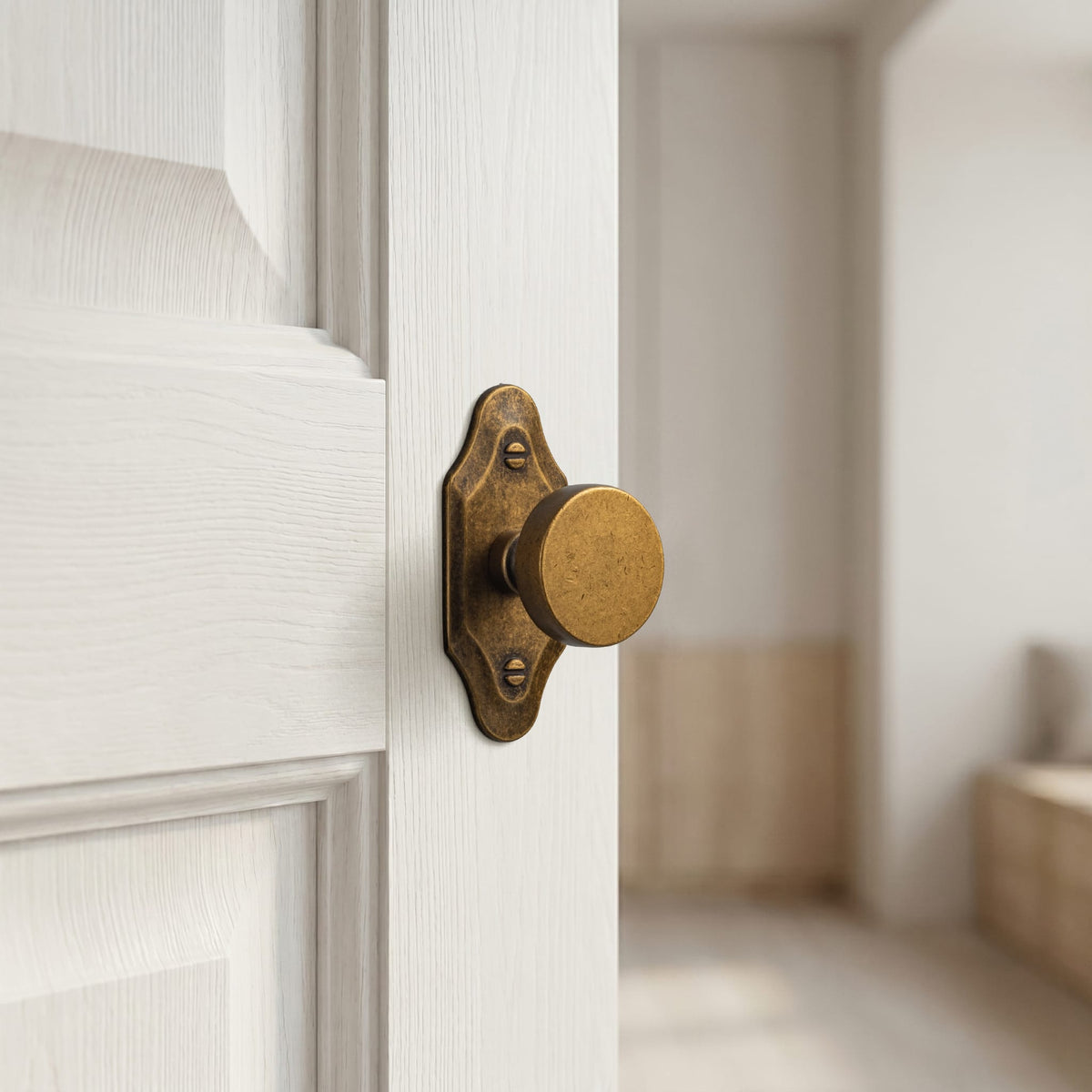 Goo-Ki 6 Pack Vintage Brass Zinc Alloy Cabinet Knob with Back Plate Single Hole Center Kitchen Hardware
