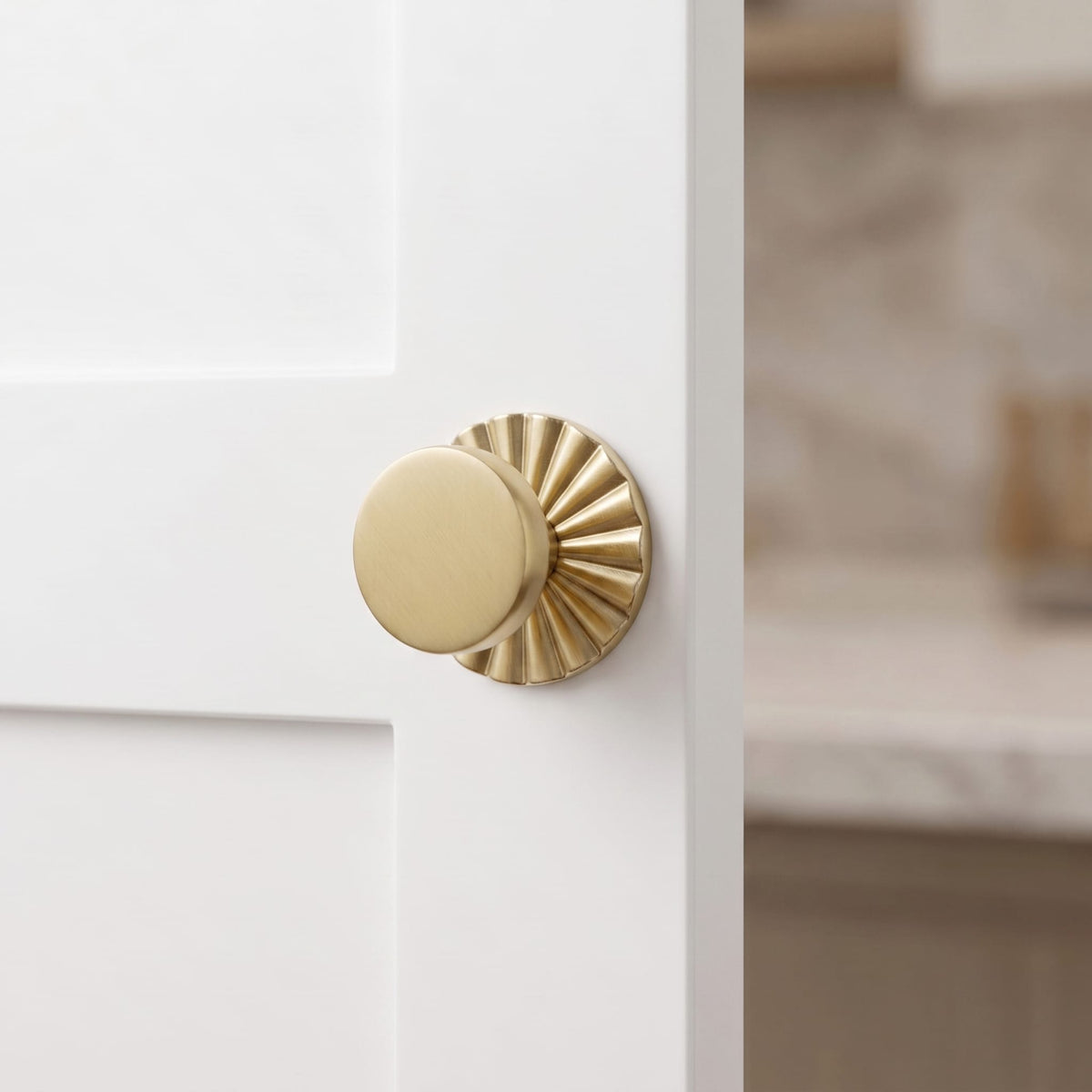 Goo-Ki Antique Brass Cabinet Knobs with Back Plates Ornate Cabinet Pulls for Kitchen Cabinet Hardware