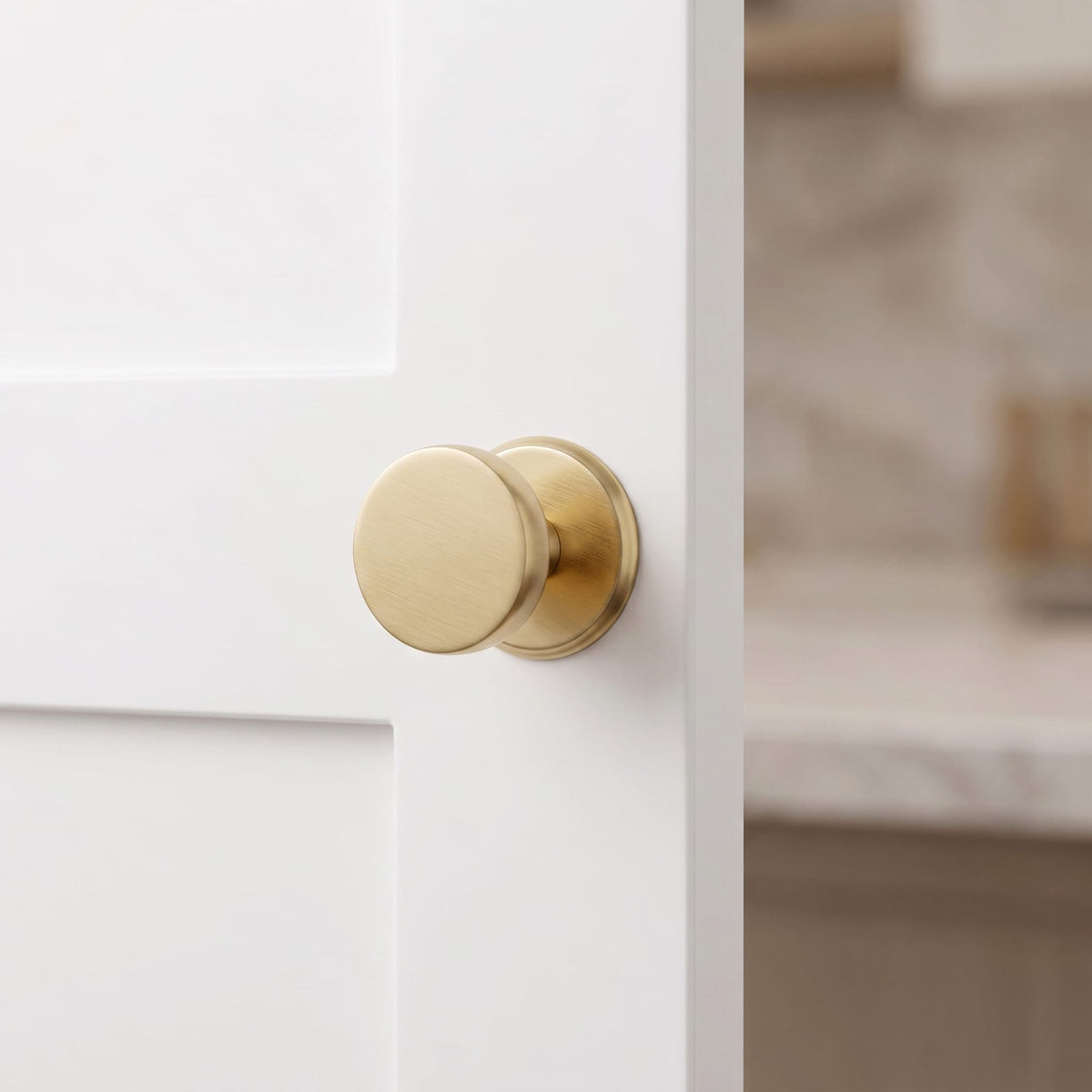 Goo-Ki Antique Brass Cabinet Knobs with Back Plates Ornate Cabinet Pulls for Kitchen Cabinet Hardware