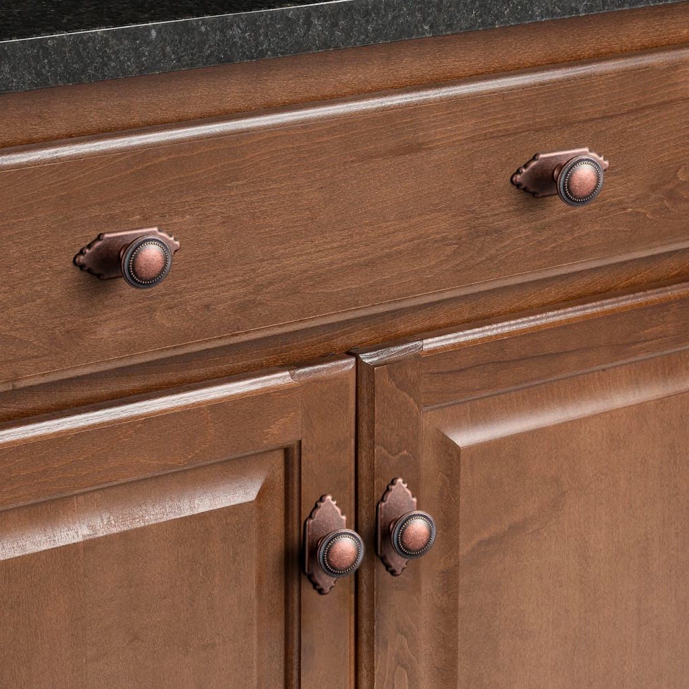 Goo-Ki Antique Brass Zinc Alloy Cabinet Knob with Delicate Decorative Back Plate Set