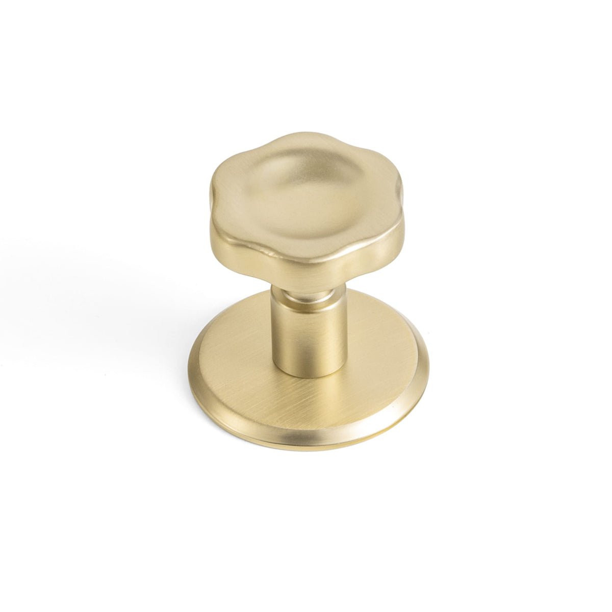 Goo-Ki Champagne Bronze / Round G021 / 6 Pack Floral Zinc Alloy Cabinet Knobs with Decorative Backplates, Assorted Multi-Shape Base Plates Furniture Drawer Knobs for Cabinet