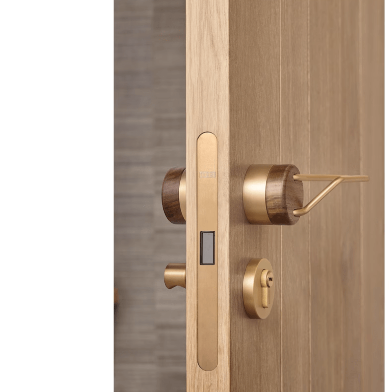 Goo-Ki High-end Brass Black Walnut Door Lock Creative Door Handle Interior Mute Door Lock