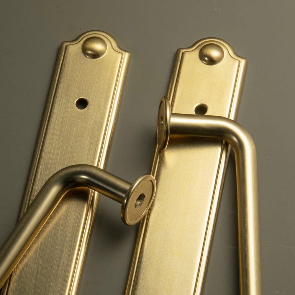 Goo-Ki Stylish Contoured Cabinet Handle with Back Plate Decorative Cabinet Hardware