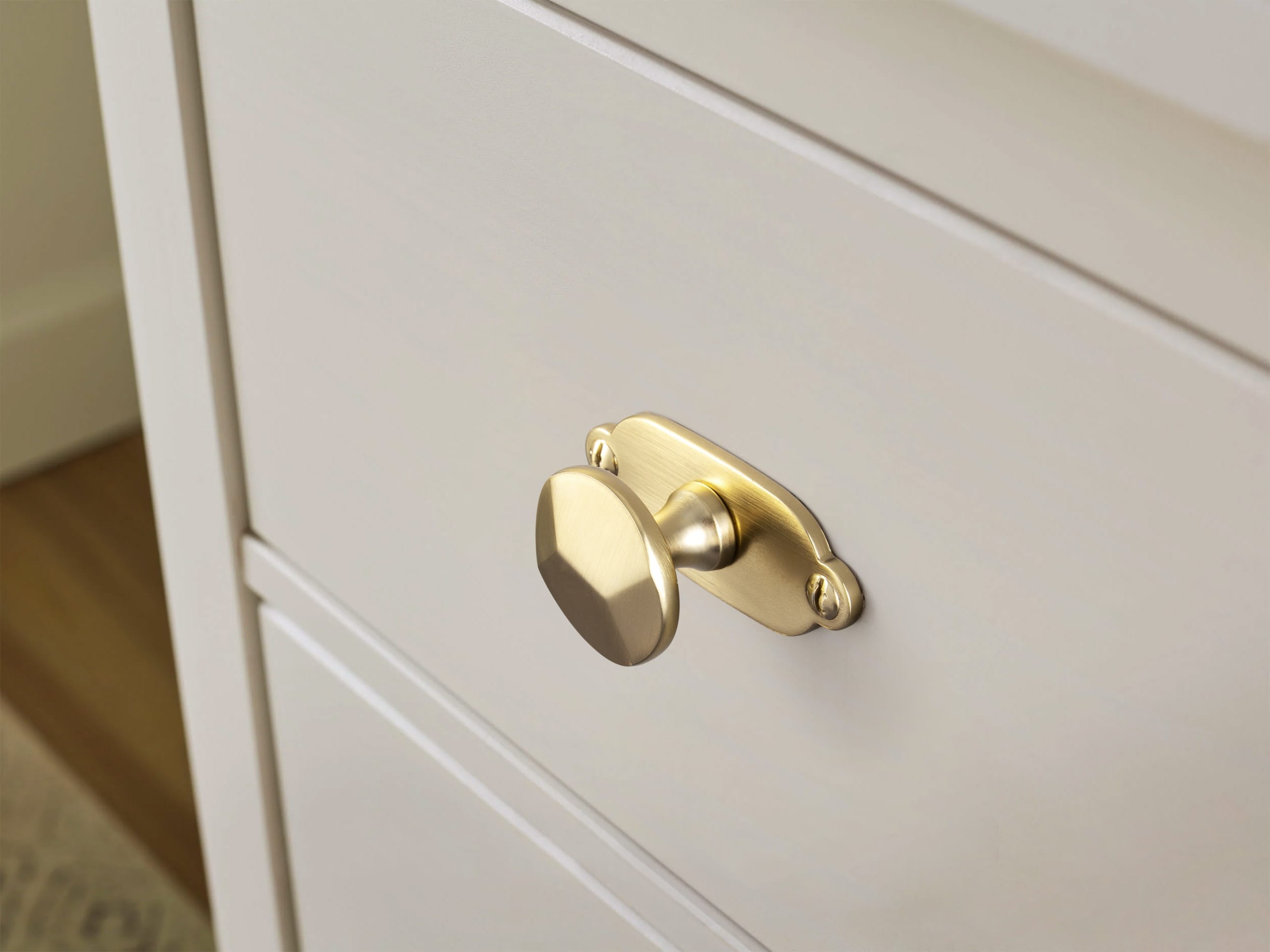 Goo-Ki Traditional Aged Bronze Zinc Alloy Cabinet Knob, Elegant Round Knob with Decorative Back Plate for Kitchen & Bathroom Cabinets