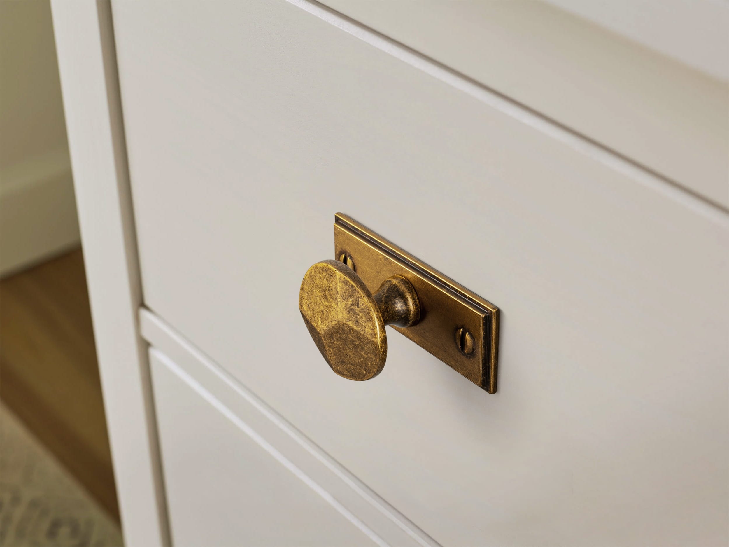 Goo-Ki Traditional Aged Bronze Zinc Alloy Cabinet Knob, Elegant Round Knob with Decorative Back Plate for Kitchen & Bathroom Cabinets