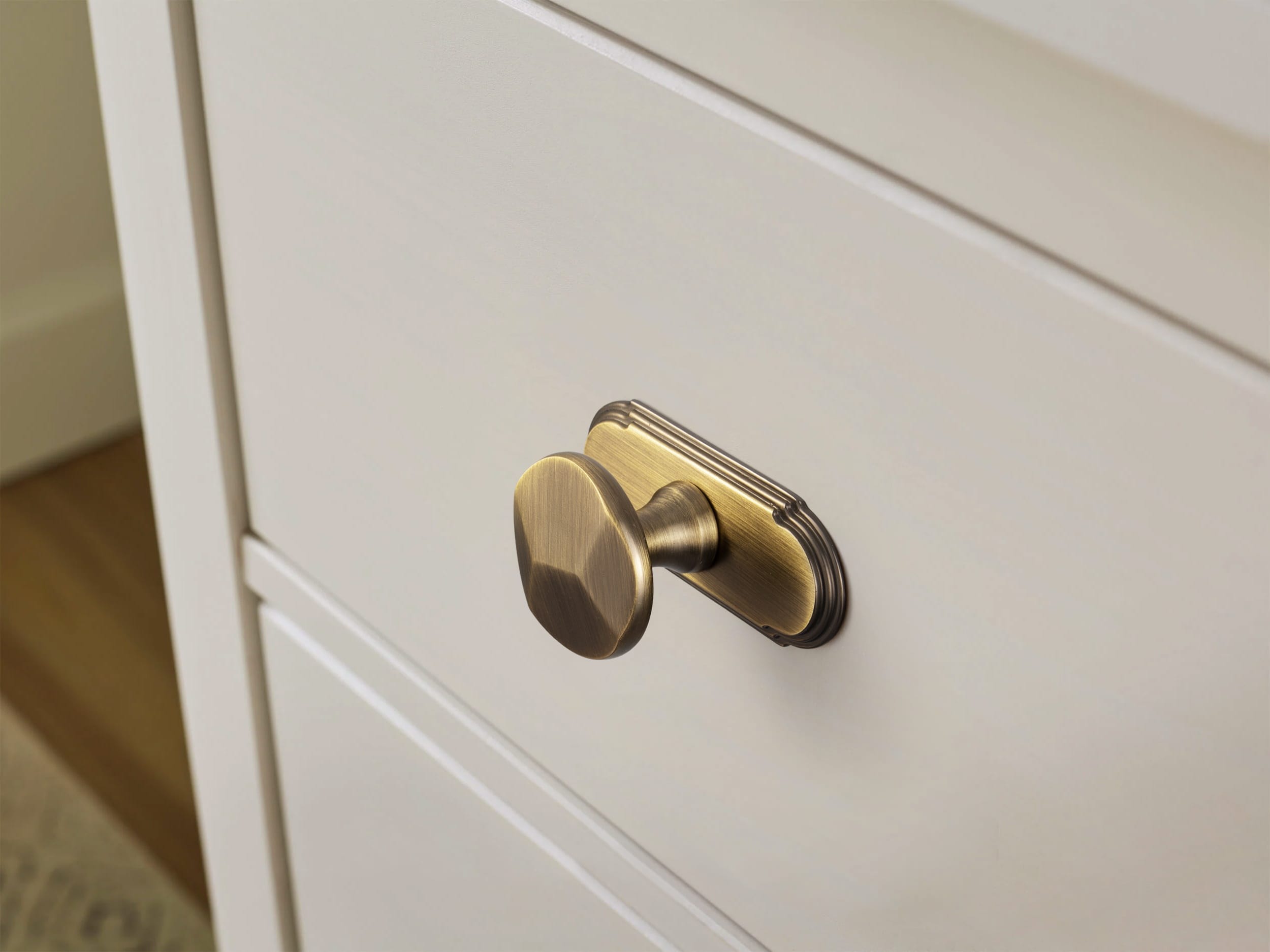 Goo-Ki Traditional Aged Bronze Zinc Alloy Cabinet Knob, Elegant Round Knob with Decorative Back Plate for Kitchen & Bathroom Cabinets