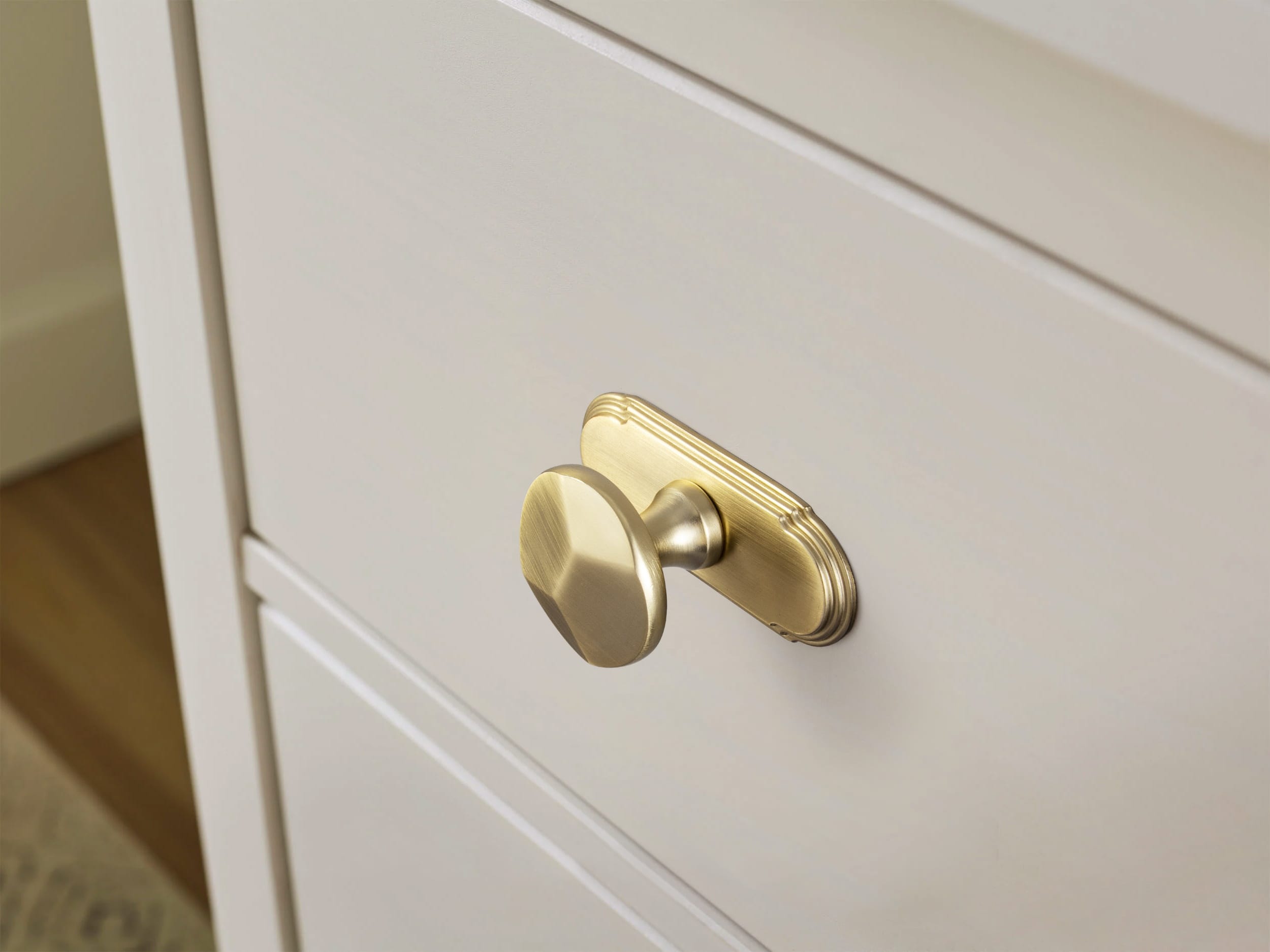 Goo-Ki Traditional Aged Bronze Zinc Alloy Cabinet Knob, Elegant Round Knob with Decorative Back Plate for Kitchen & Bathroom Cabinets