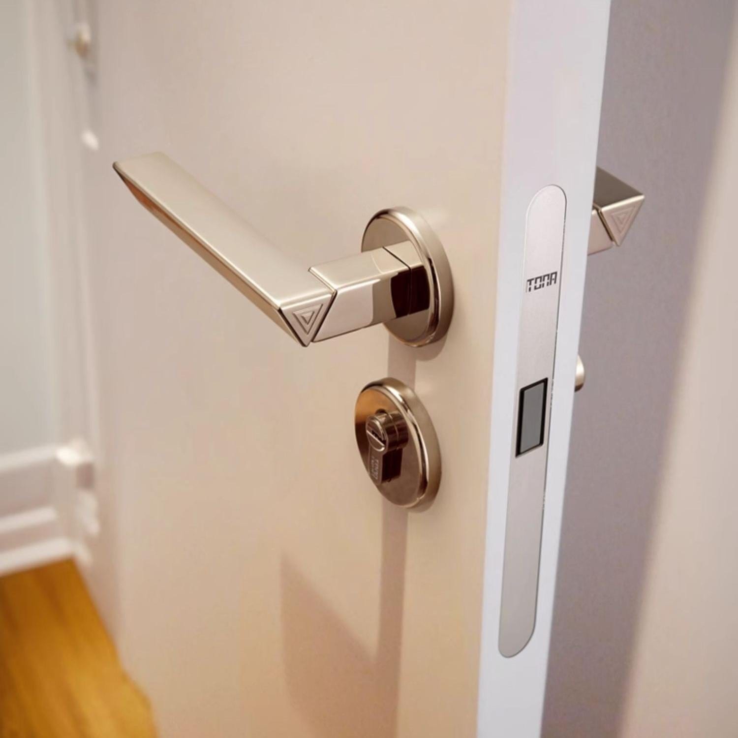 TONA Contemporary Style Titanium Silver Door Handle Solid Brass Interior Door Lock