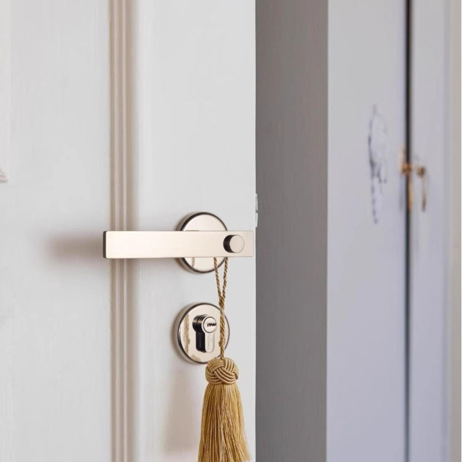 TONA Mid-century Modern Solid Brass Interior Door Lock Titanium Silver Bedroom Door Handle