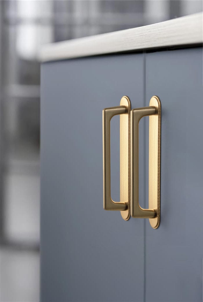 2 Pack Classic Cabinet Bar Pulls with Back Plate Zinc Alloy Cabinet Handle with Long Back Plate