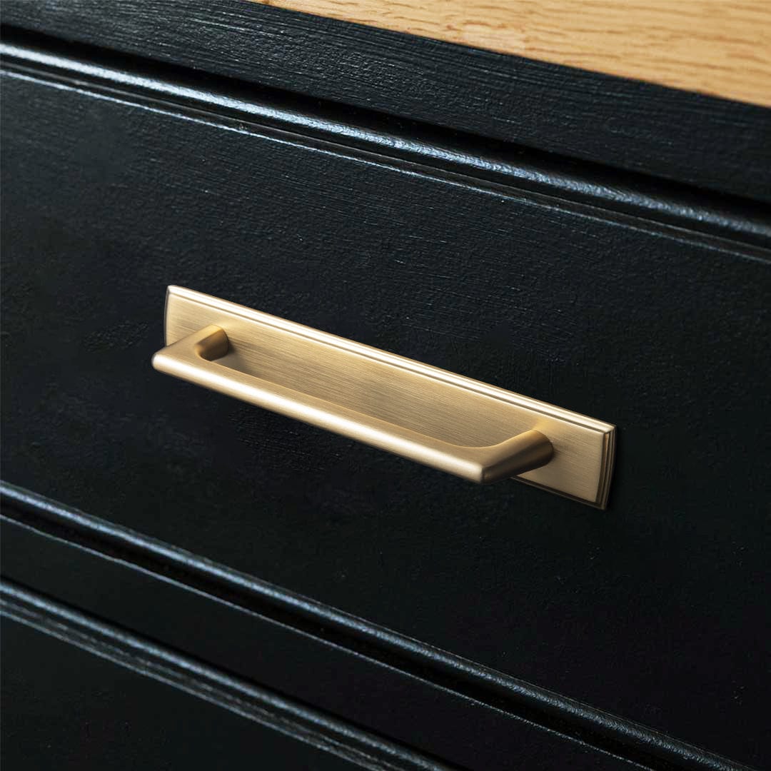 2 Pack Classic Cabinet Bar Pulls with Back Plate Zinc Alloy Cabinet Handle with Long Back Plate
