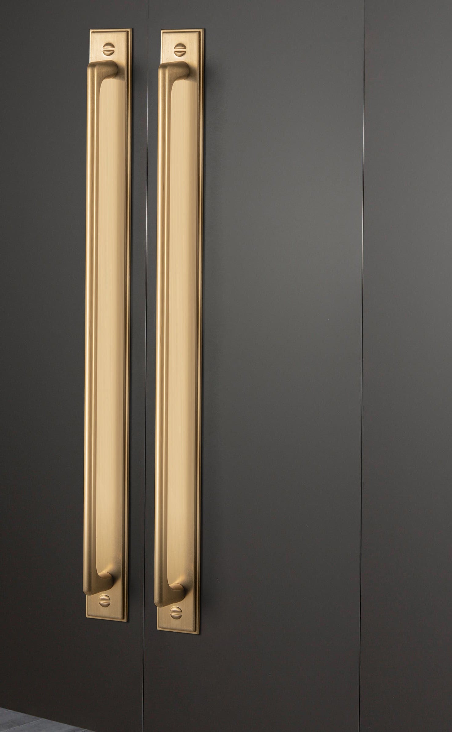 2 Pack Classic Cabinet Bar Pulls with Back Plate Zinc Alloy Cabinet Handle with Long Back Plate