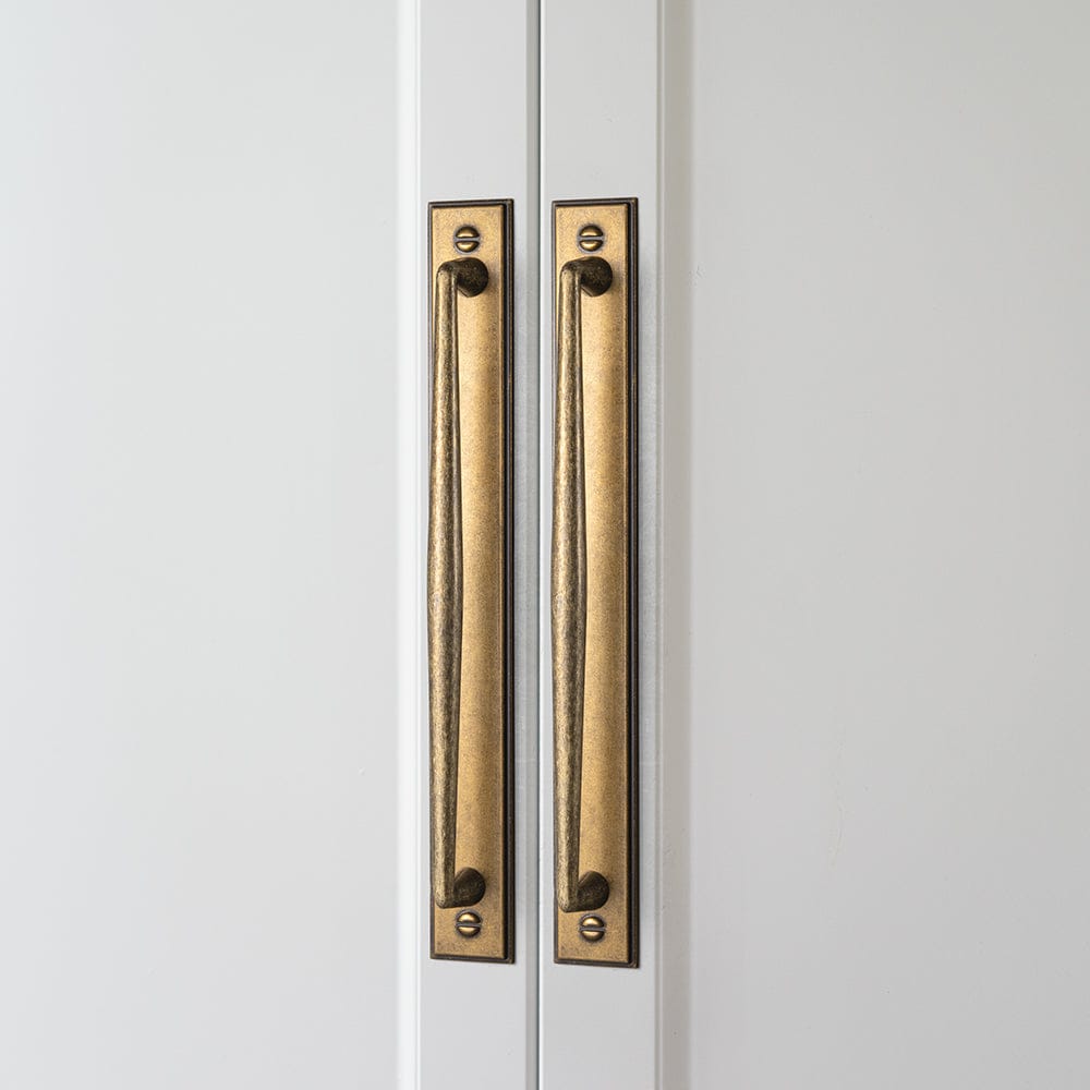 2 Pack Vintage Zinc Alloy Cabinet Pulls with Back Plate - Furniture Handles for Kitchen Cupboards