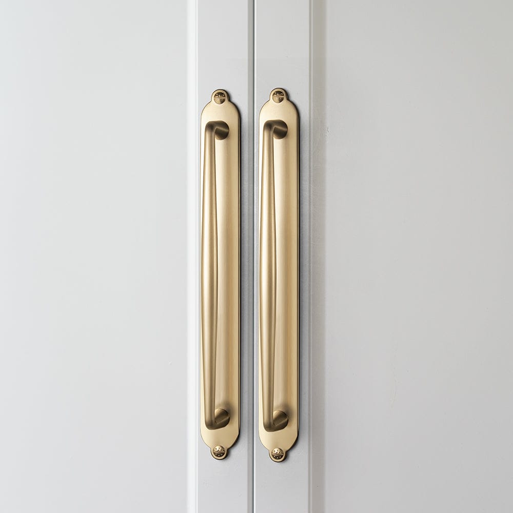 2 Pack Vintage Zinc Alloy Cabinet Pulls with Back Plate - Furniture Handles for Kitchen Cupboards