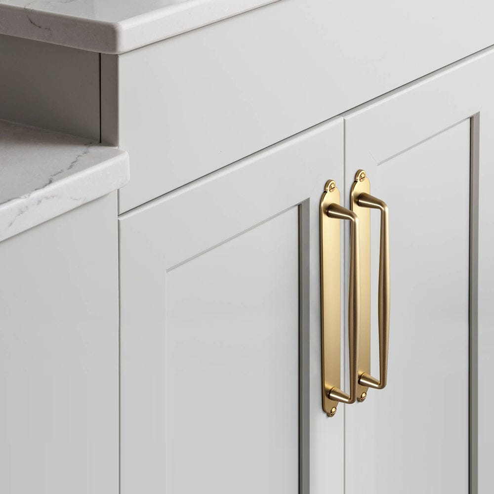 2 Pack Vintage Zinc Alloy Cabinet Pulls with Back Plate - Furniture Handles for Kitchen Cupboards