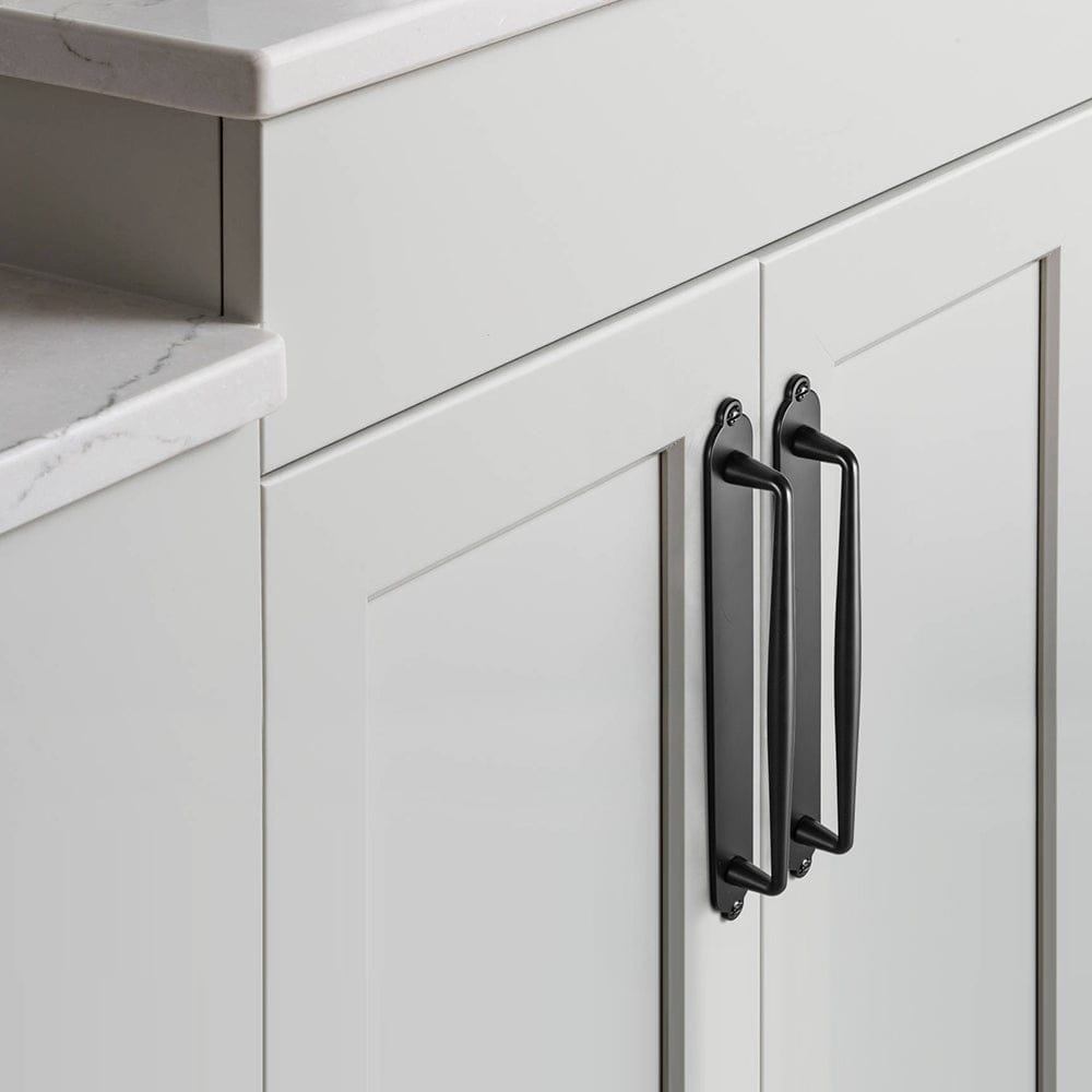 2 Pack Vintage Zinc Alloy Cabinet Pulls with Back Plate - Furniture Handles for Kitchen Cupboards