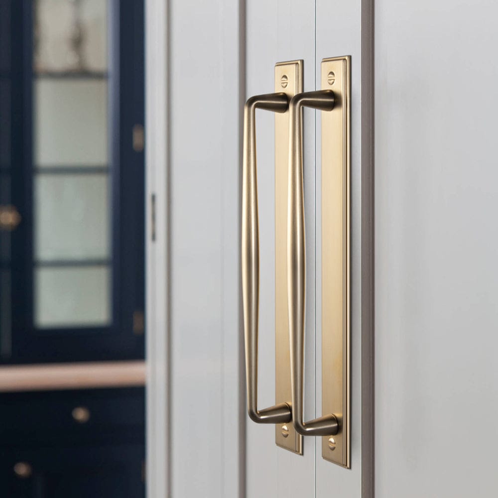 2 Pack Vintage Zinc Alloy Cabinet Pulls with Back Plate - Furniture Handles for Kitchen Cupboards