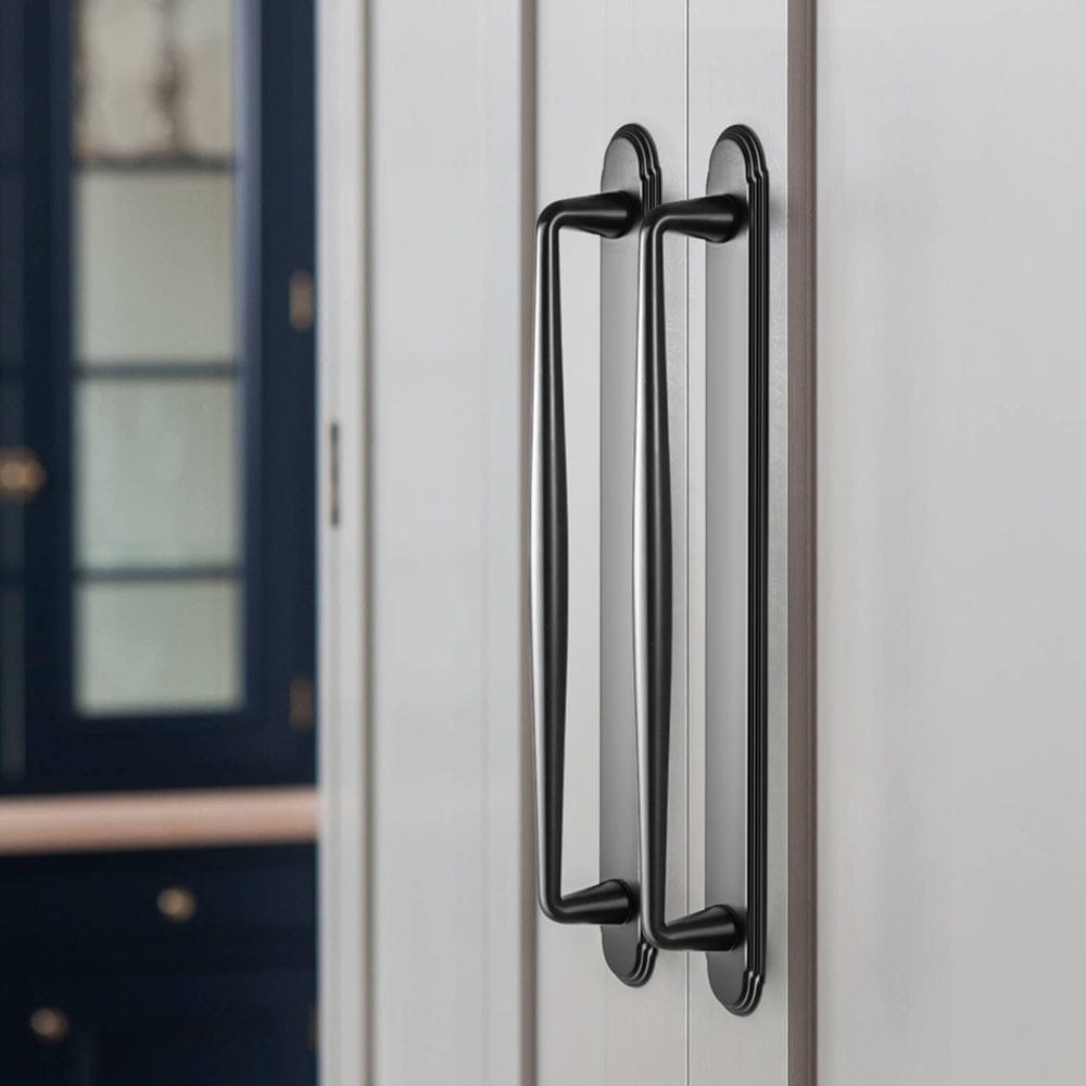 2 Pack Vintage Zinc Alloy Cabinet Pulls with Back Plate - Furniture Handles for Kitchen Cupboards