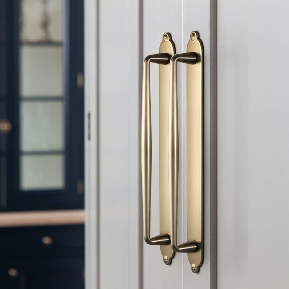 2 Pack Vintage Zinc Alloy Cabinet Pulls with Back Plate - Furniture Handles for Kitchen Cupboards