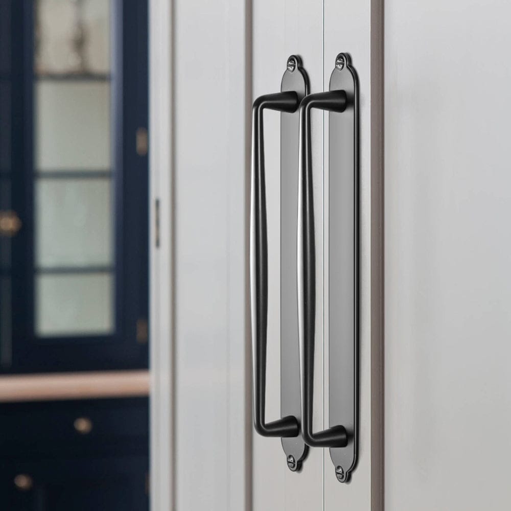 2 Pack Vintage Zinc Alloy Cabinet Pulls with Back Plate - Furniture Handles for Kitchen Cupboards