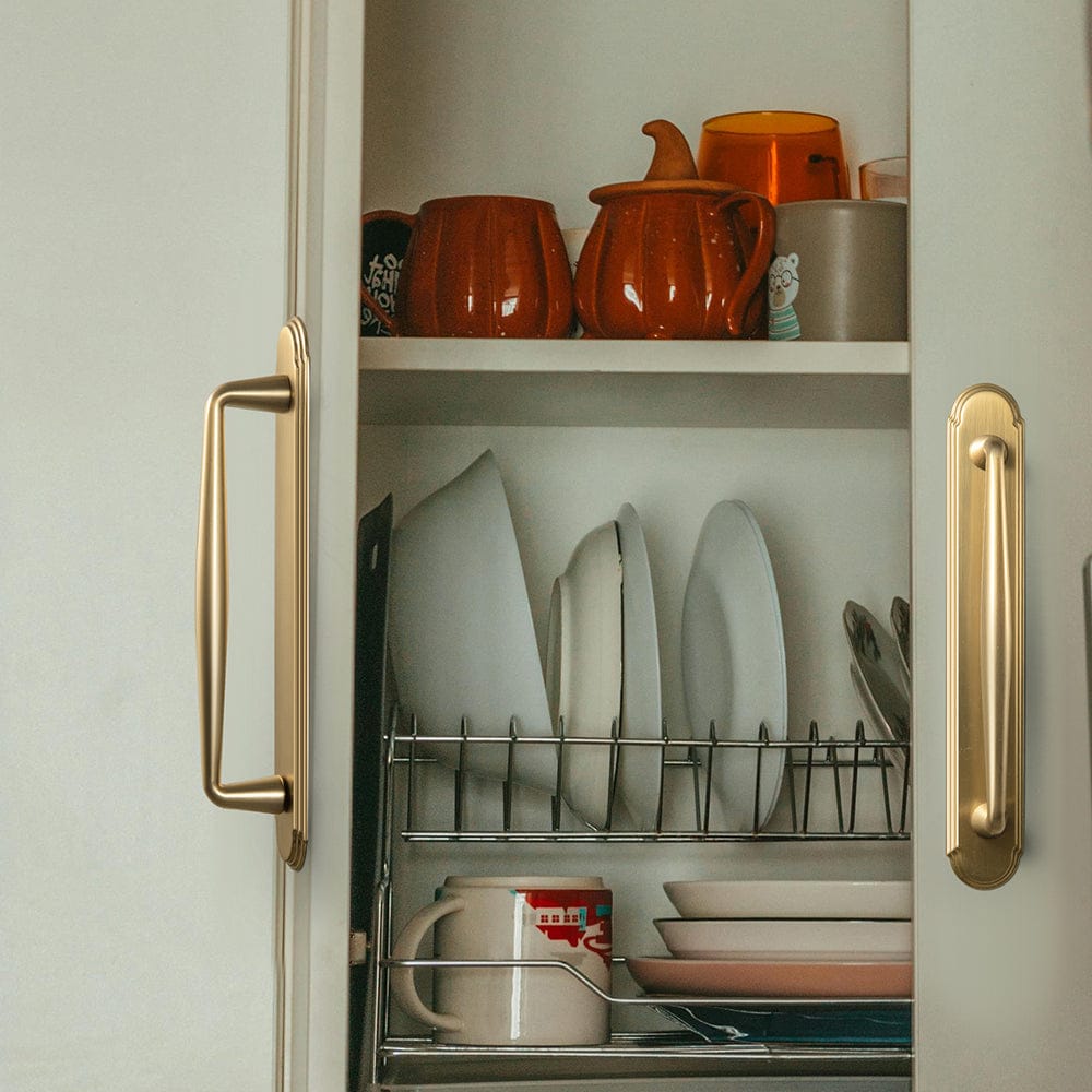 2 Pack Vintage Zinc Alloy Cabinet Pulls with Back Plate - Furniture Handles for Kitchen Cupboards