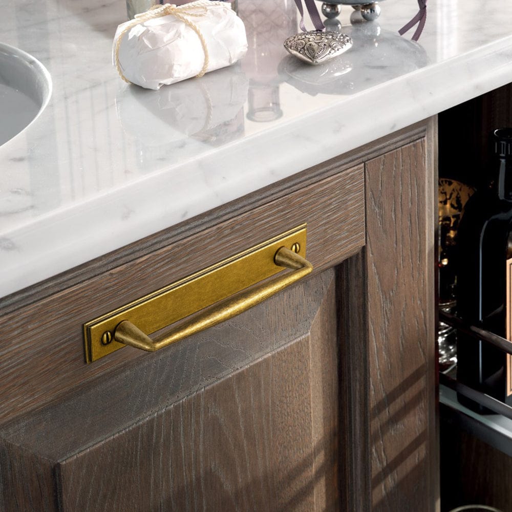 2 Pack Vintage Zinc Alloy Cabinet Pulls with Back Plate - Furniture Handles for Kitchen Cupboards