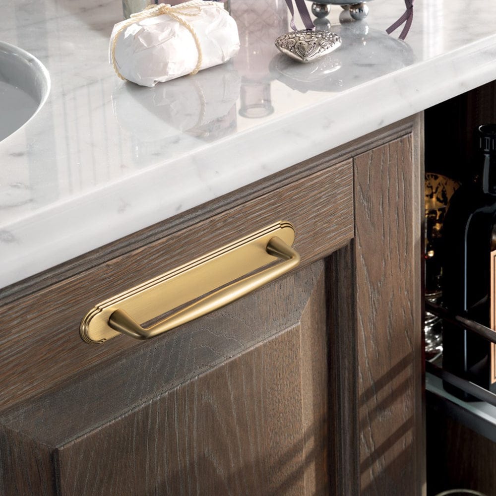 2 Pack Vintage Zinc Alloy Cabinet Pulls with Back Plate - Furniture Handles for Kitchen Cupboards