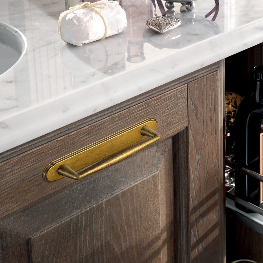 2 Pack Vintage Zinc Alloy Cabinet Pulls with Back Plate - Furniture Handles for Kitchen Cupboards