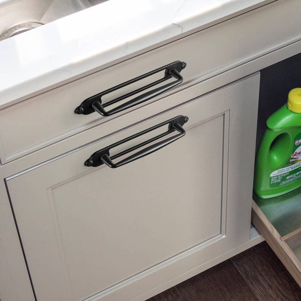 2 Pack Vintage Zinc Alloy Cabinet Pulls with Back Plate - Furniture Handles for Kitchen Cupboards