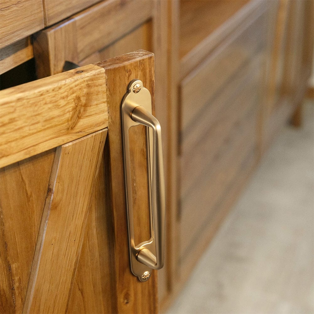 2 Pack Vintage Zinc Alloy Cabinet Pulls with Back Plate - Furniture Handles for Kitchen Cupboards