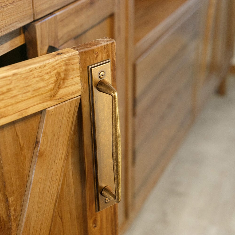 2 Pack Vintage Zinc Alloy Cabinet Pulls with Back Plate - Furniture Handles for Kitchen Cupboards