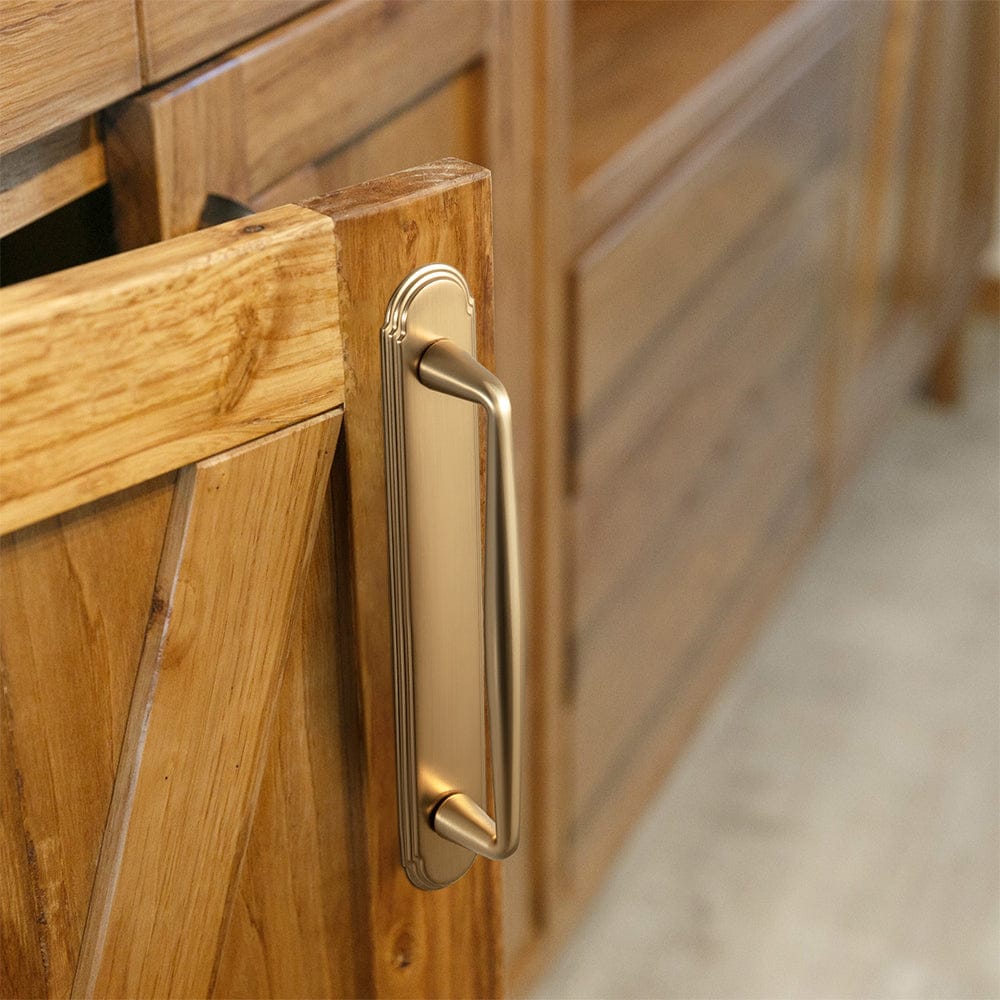 2 Pack Vintage Zinc Alloy Cabinet Pulls with Back Plate - Furniture Handles for Kitchen Cupboards