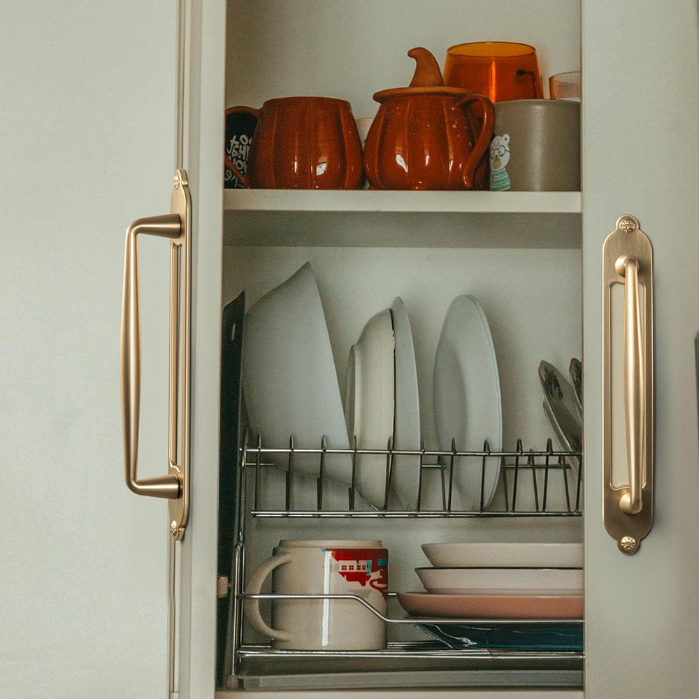 2 Pack Vintage Zinc Alloy Cabinet Pulls with Back Plate - Furniture Handles for Kitchen Cupboards