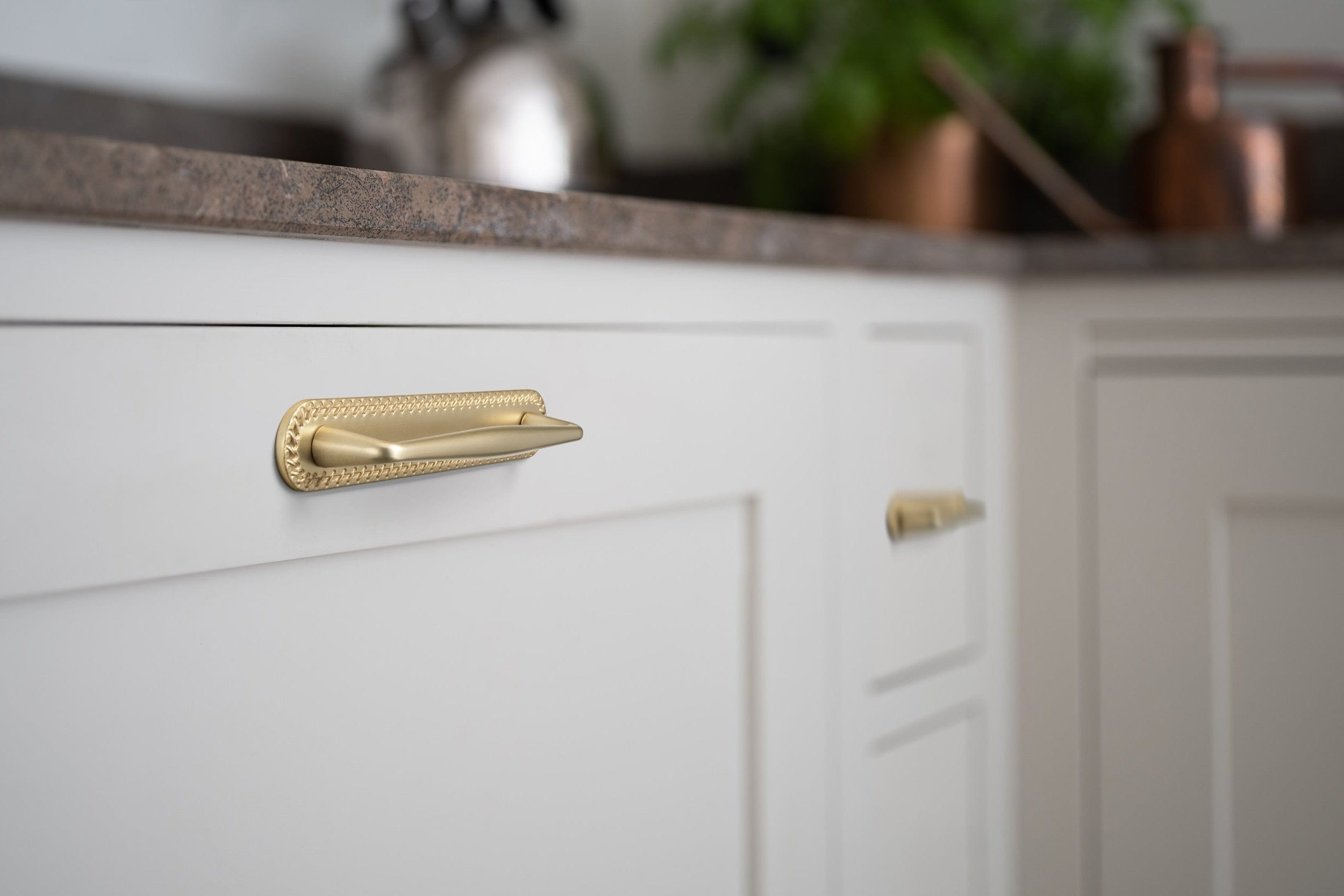 2 Pack Vintage Zinc Alloy Cabinet Pulls with Back Plate - Furniture Handles for Kitchen Cupboards