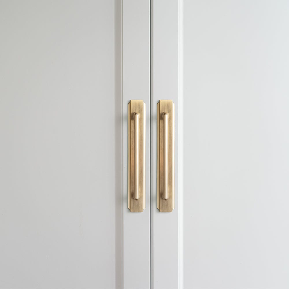 2 Pack Classic Cabinet Bar Pulls with Back Plate Zinc Alloy Cabinet Handle with Long Back Plate