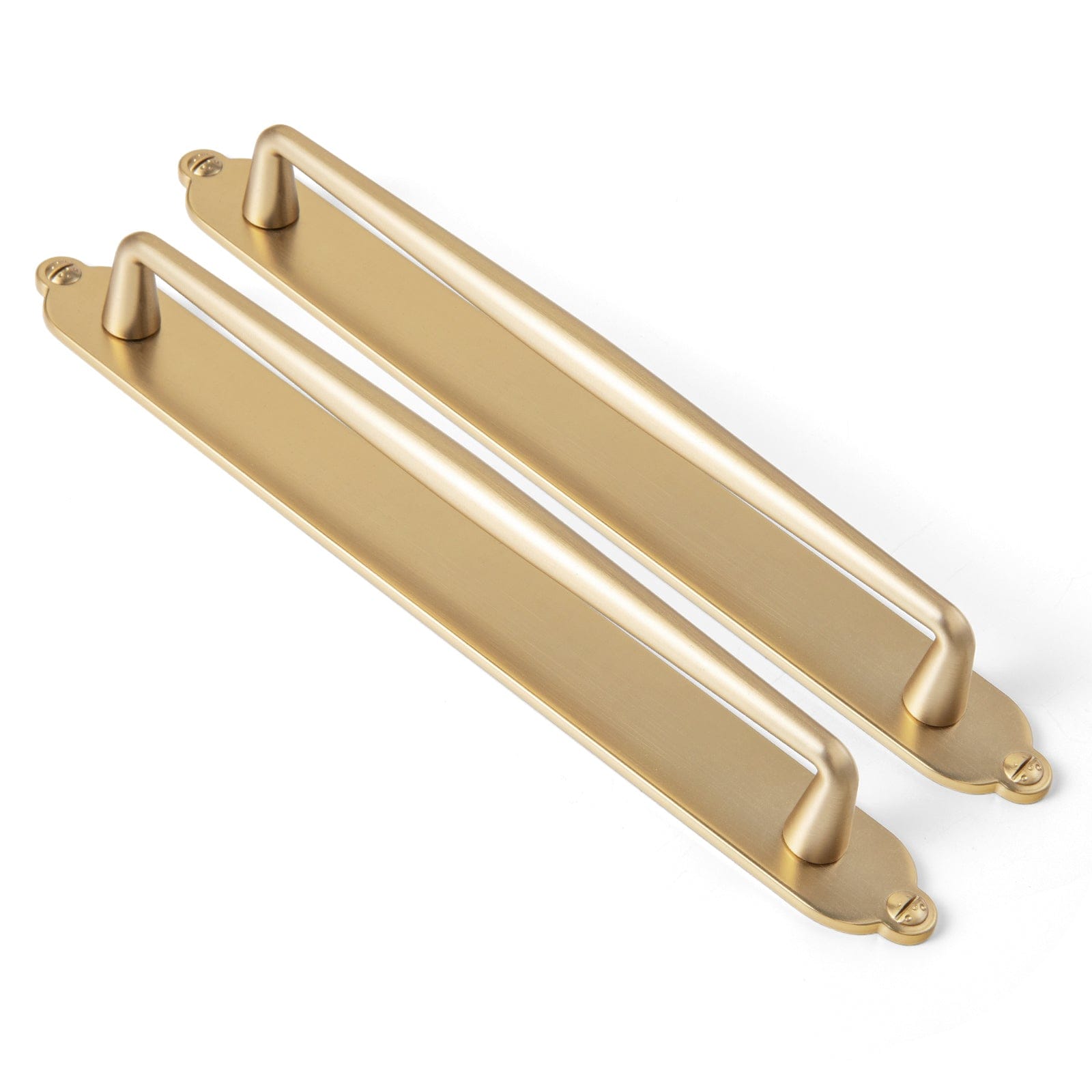 2 Pack Vintage Zinc Alloy Cabinet Pulls with Back Plate - Furniture Handles for Kitchen Cupboards