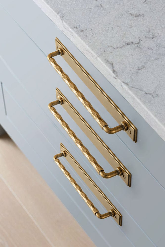 2 Pack Zinc Alloy Drawer Pulls with Back Plate Twisted Design Decorative Handles for Kitchen Cabinets