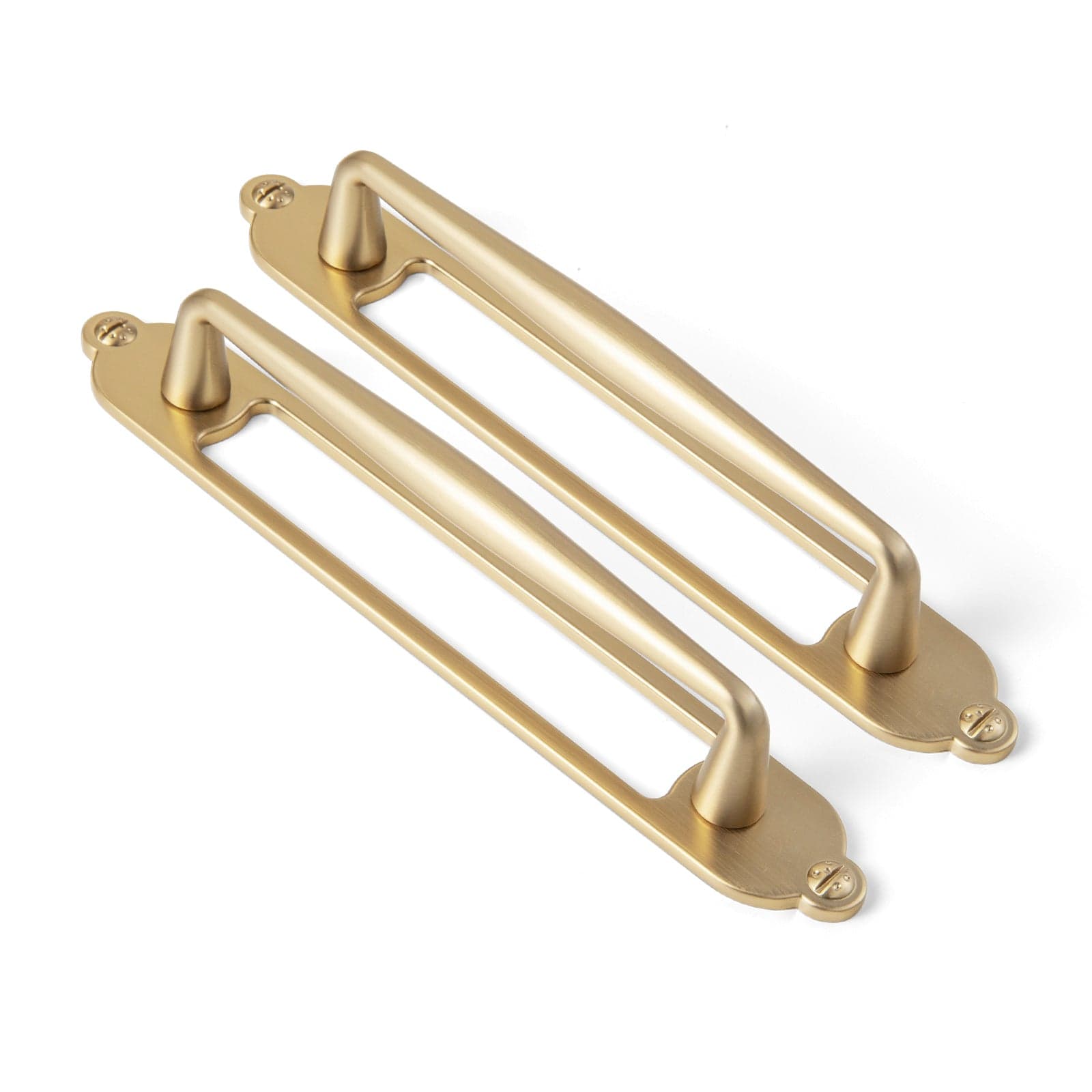 2 Pack Vintage Zinc Alloy Cabinet Pulls with Back Plate - Furniture Handles for Kitchen Cupboards